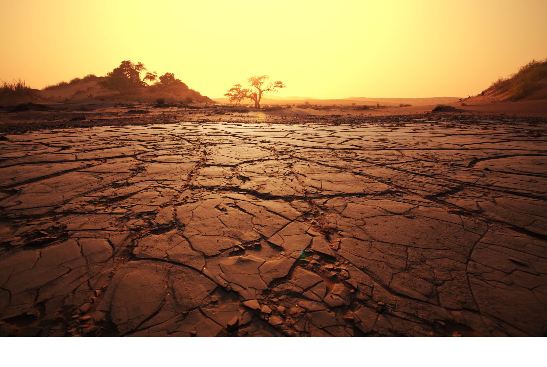 African landscape with cracked earth and golden sunset
