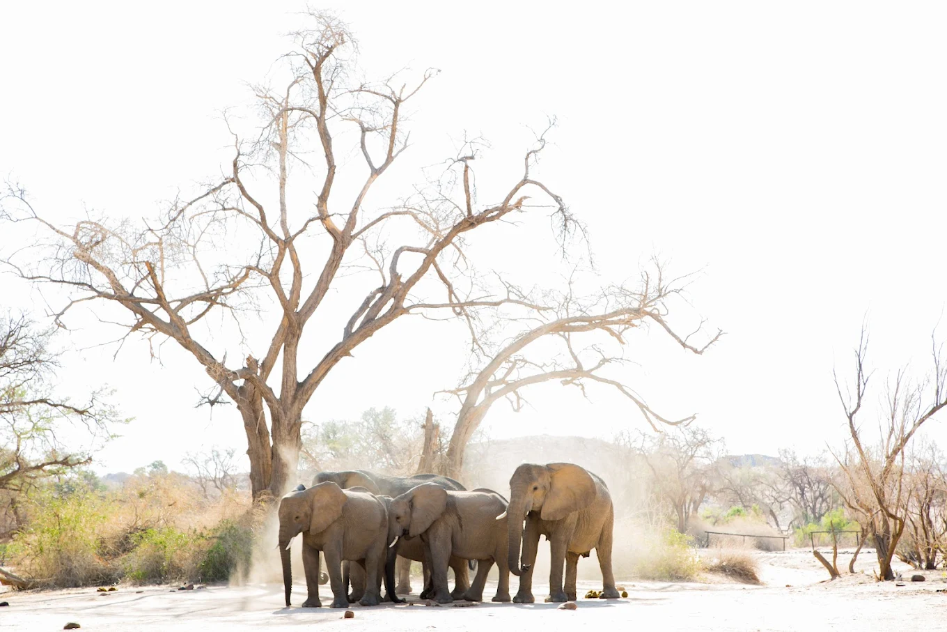 Routes Rediscovered gallery image 3 - Tours services